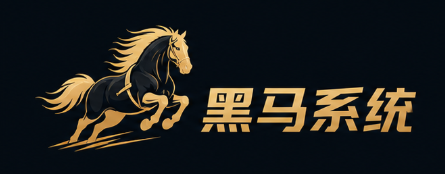 黑马系统